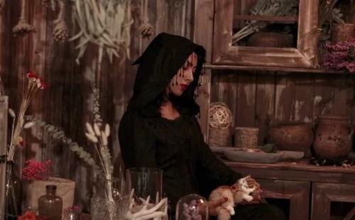 吃瓜侦探受刑视频,真相与疑云交织